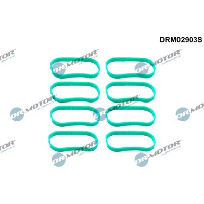 DR.MOTOR AUTOMOTIVE Sada tesnení kolena nasávacieho potrubia DRM02903S