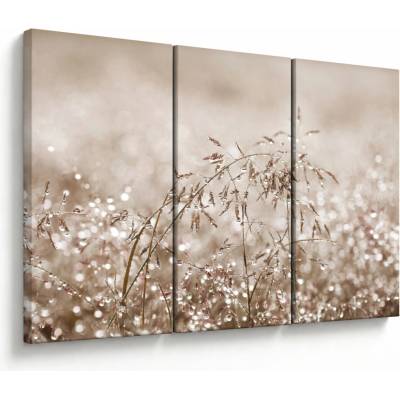 Obraz - Lúka v hnedých tónoch, trojdielne 120x80 cm