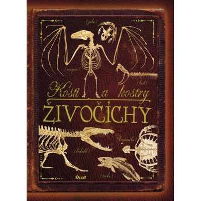 Kosti a kostry: Živočíchy