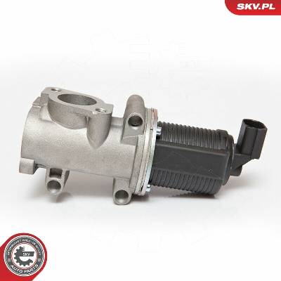 AGR-Ventil ESEN SKV 14SKV055
