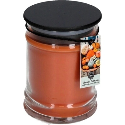Bridgewater Candle Harvest Pumpkin 250 g