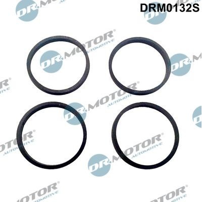 Sada tesnení kolena nasávacieho potrubia Dr.Motor Automotive DRM0132S