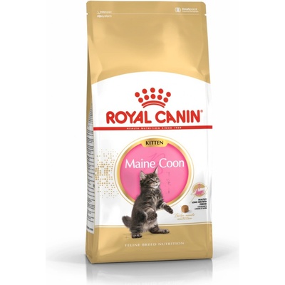 Royal Canin Maine Coon Kitten krmivo pro koťata Maine Coon 10 kg – Hledejceny.cz