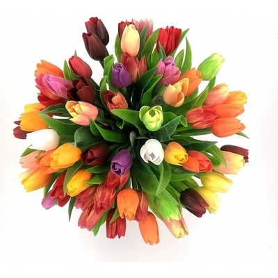Tulipány mix farieb tm.červený F244-R5