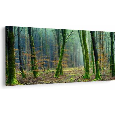 Obraz lesa, jednodielne 200x100 cm