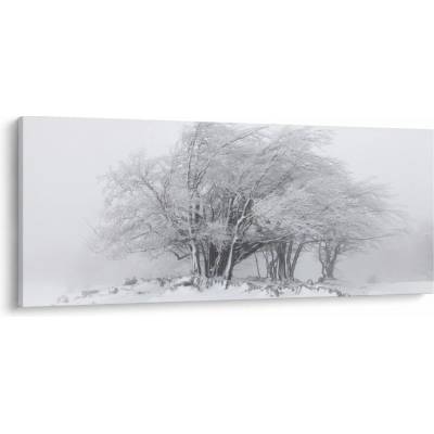 Obraz - Biela zima, jednodielne 120x50 cm