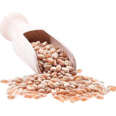 Aso Zdravý život Pšenice ozimá Bio 1 kg