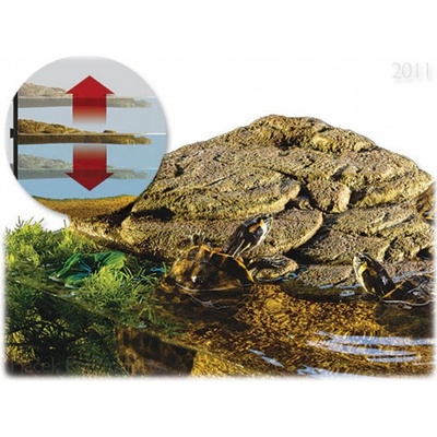 Hagen Exo Terra Ostrov M 29,8 x 17,8 x 5,4 cm – Hledejceny.cz