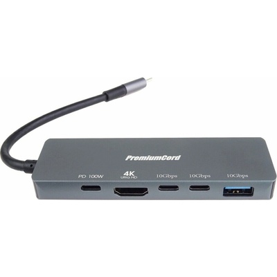 PremiumCord ku31dock21