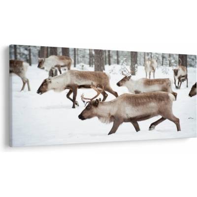 Obraz - Soby, jednodielne 200x100 cm
