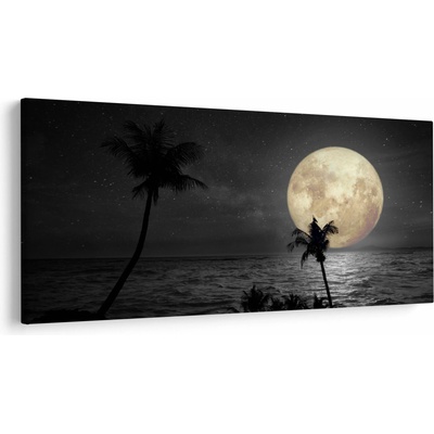 Obraz - Pláž za splnu v šedých tónoch, jednodielne 250x125 cm