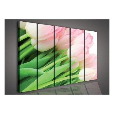 Obraz na plátne viacdielny - OB3353 - Tulipány 150cm x 100cm - S9