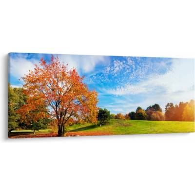 Obraz - Jesenná krajina, jednodielne 120x50 cm