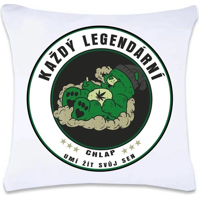 Dobrý Triko Polštář s potiskem Legendární chlap pohoda Oboustranný tisk ANO 40x40 – Hledejceny.cz