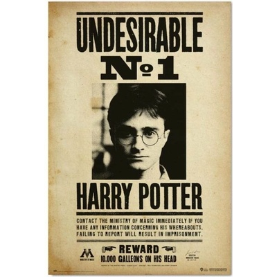 Plakát Harry Potter - Nežádoucí No.1 - plakát (8435497271992) – Hledejceny.cz