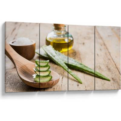 Obraz - Aloe vera, štvordielne 160x80 cm