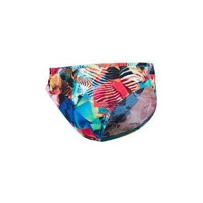 Speedo ALV 5CM BRF TM Plavky chlapecké slipové