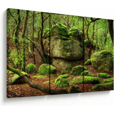 Obraz čarovného lesa, trojdielne 120x80 cm