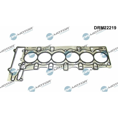 DR.MOTOR AUTOMOTIVE Tesnenie hlavy valcov DRM22219
