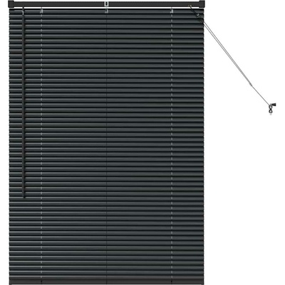 VidaXL 42006119 1300 x 850 mm černá