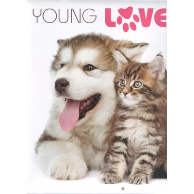 poznámkový Young Love/koťata & štěňata 2017