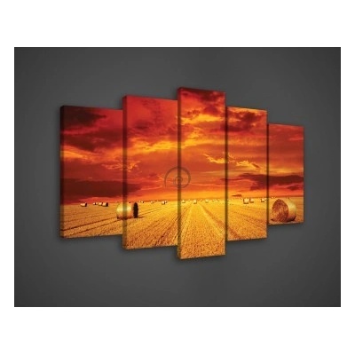 Obraz na plátne viacdielny - OB3513 - Západ slnka 100cm x 60cm - S17