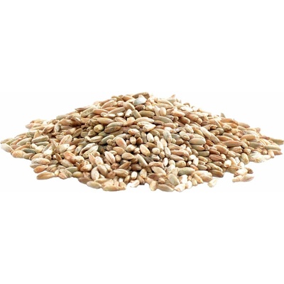 Aso Zdravý život Žito Bio 1 kg