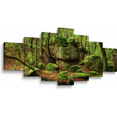 Obraz čarovného lesa, sedemdielne 210x100 cm