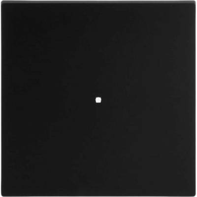 Busch-Jaeger 2CKA006220A0927