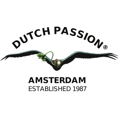 Dutch Passion Blueberry semienka neobsahujú THC 1 ks