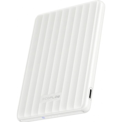 EcoFlow RAPID 1ECORAPQI5000-D