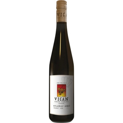 Vican Rulandské Modré Pozdní sběr 13% 0,75 l (holá láhev)