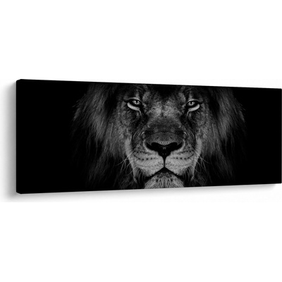 Obraz - Lev a jeho majestátnost, jednodílný 100x40 cm