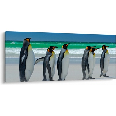 Obraz - Skupina královských Tučňáků, jednodílný 120x50 cm