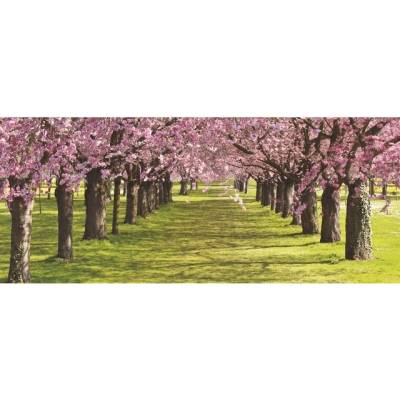 Preinterier PA0142 Fototapeta na stenu Ružové stromy vlies 250cm x 104cm