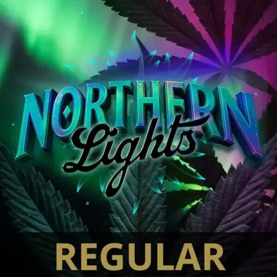Barney´s Farm Northern Lights regular semienka neobsahujú THC 10 ks
