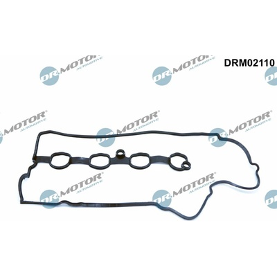 DR.MOTOR AUTOMOTIVE Tesnenie veka hlavy valcov DRM02110