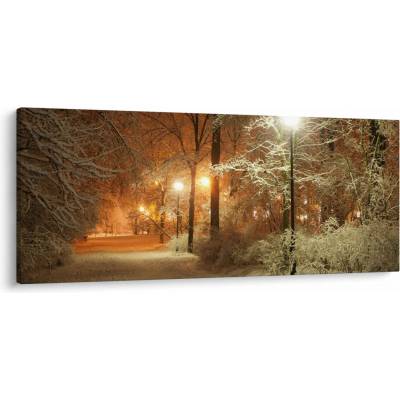 Obraz - Zasnežený park, jednodielne 120x50 cm