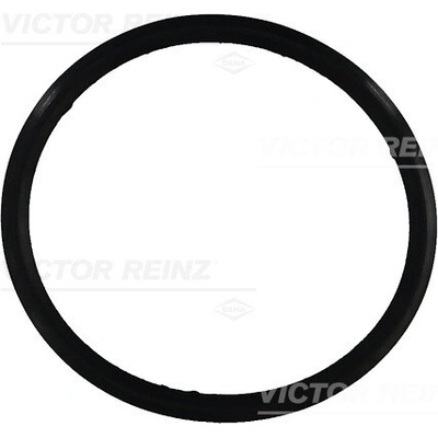 Tesnenie veka hlavy valcov VICTOR REINZ 71-31649-00