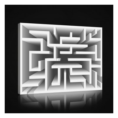 Obraz na plátne obdĺžník - OB1007 - Labyrint 80cm x 60cm - O6