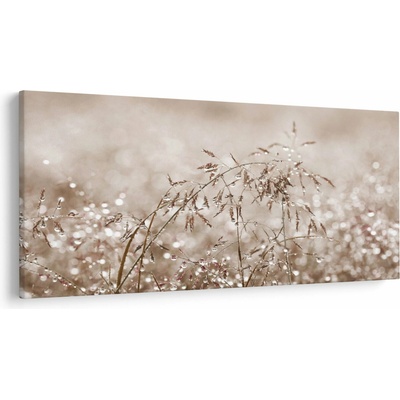 Obraz - Lúka v hnedých tónoch, jednodielne 250x125 cm