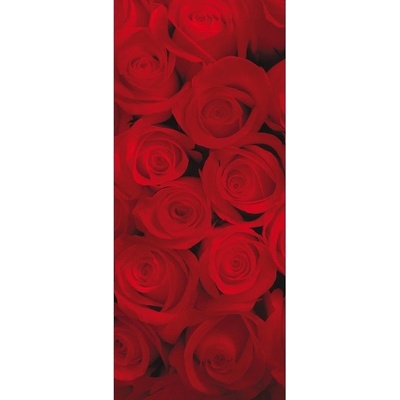 Preinterier Fototapeta - DV0120 - červené ruže Samolep. fólia - 91cm x 211cm