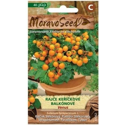 Paradajka kríčková balkónová Venus MoravoSeed oranžová