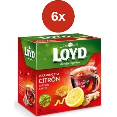 Loyd Warming Tea pyramída citrón zázvor med 6 x 40 g
