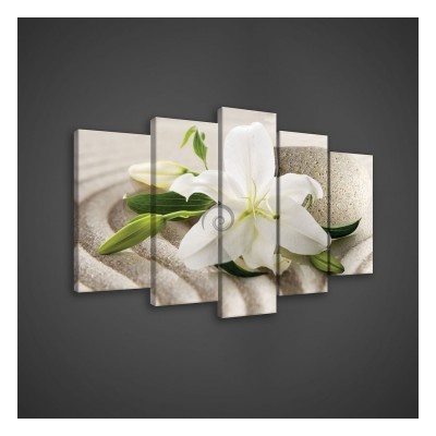 Obraz na plátne viacdielny - OB3609 - Biely kvet 100cm x 60cm - S17