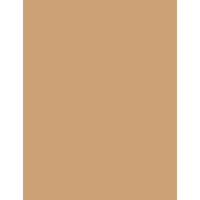 Bourjois Air Mat Foundation SPF10 5 Golden Beige Make-up 30 ml