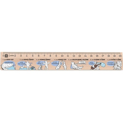 Metrie Didakt-M02 Dřevěné pravítko s potiskem Mluvnické pády 20 cm