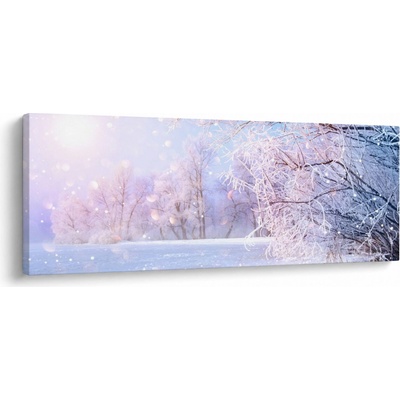 Obraz - Mrazivá zima, jednodílný 100x40 cm