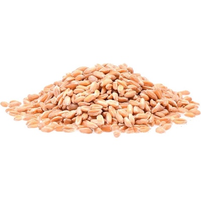Aso Zdravý život Pšenice špalda Bio 25 kg