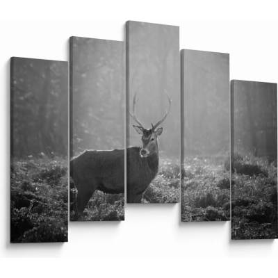 Obraz - Jeleň v lese, čiernobiela, päťdielne 125x90 cm